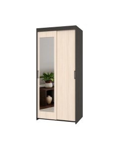 Шкаф-купе Томас Т22 Modern