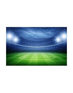 Фотообои листовые Citydecor Стадион