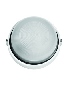 Светильник ЖКХ 1102S НБП 03-100-001 УХЛ1 / 13660 Camelion