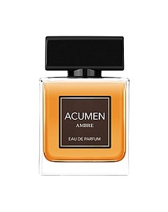 Парфюмерная вода Dilis Parfum Acumen Ambre for Men Dilis parfum