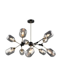 Потолочный светильник Mirastyle SX-4857/10 BK+FG