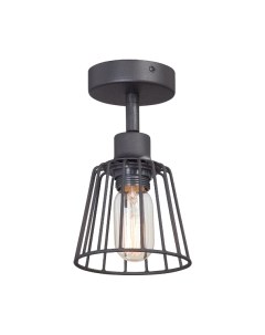 Потолочный светильник Vitaluce V4589-1/1PL