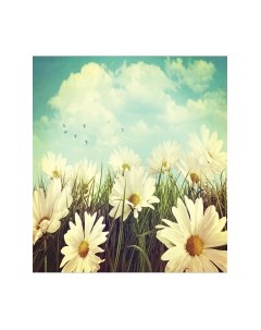 Скатерть JoyArty Ромашки под небом / tcox_2394 Joyarty