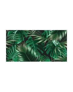 Фотообои листовые Citydecor Тропики