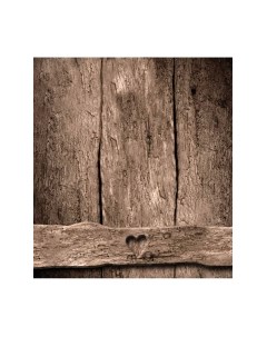 Скатерть JoyArty Старый забор / tcox_37713 Joyarty