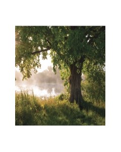 Скатерть JoyArty Место скрытности / tcox_8922 Joyarty