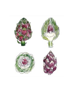 Скатерть JoyArty Вид артишока / tcox_38887 Joyarty