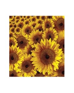 Скатерть JoyArty Подсолнухи / tcox_9855 Joyarty