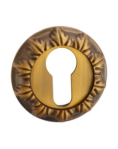 Накладка на цилиндр Ренц INET 10 CF