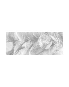 Фотообои листовые ФабрикаФресок Серые перья / 157280 Фабрикафресок