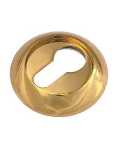 Накладка на цилиндр Ренц INET 08 DGP