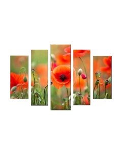Картина модульная Arthata 5m-483