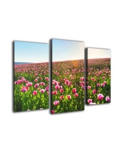 Картина модульная Arthata m-000134