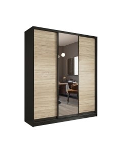 Шкаф-купе Евва 203 VSG.12 / АЭП ШК.3 02