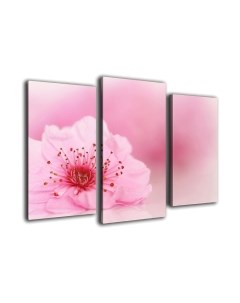 Картина модульная Arthata m-000269