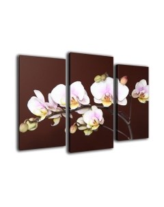 Картина модульная Arthata m-000446