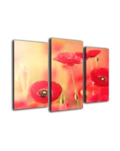 Картина модульная Arthata m-000239