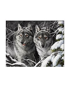 Набор алмазной вышивки Разбойники / АЖ-1818 Алмазная живопись