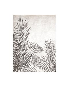 Фотообои листовые Vimala Пальмовые листья 5