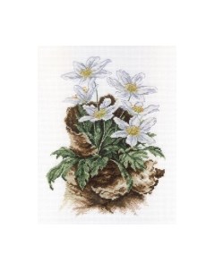 Набор для вышивания Первоцветы / НВ-567М М.п.студия