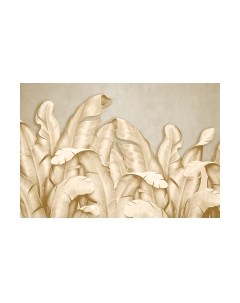 Фотообои листовые Vimala Банановые листья бежевые