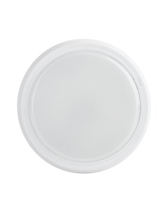 Светильник ЖКХ SPB-301-2-4K-20 / Б0055046 Эра