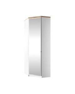 Шкаф Anrex Taurus 1DGL Z угловой