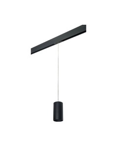 Трековый светильник Lightstar Rullo PRORP6487