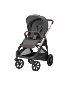 Детская прогулочная коляска Aptica New / AG60Q0VLG Inglesina