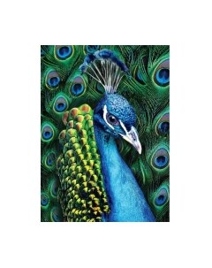 Набор алмазной вышивки Школа талантов Павлин / 5498150