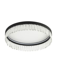 Потолочный светильник LED4U L8030-500 BK Led4u