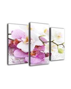 Картина модульная Arthata m-000758