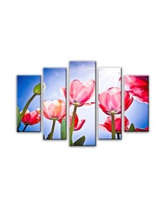 Картина модульная Arthata 5m-145