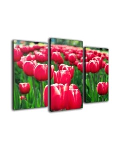 Картина модульная Arthata m-000433