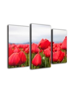 Картина модульная Arthata m-000569