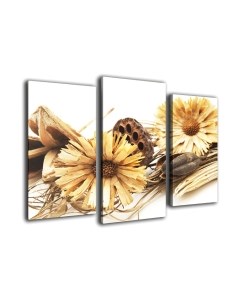 Картина модульная Arthata m-000206