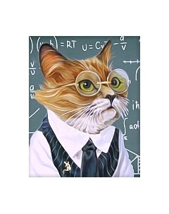 Набор алмазной вышивки Интеллигент / АЖ-1544 Алмазная живопись