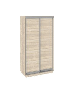 Шкаф-купе Румер СШК 1.120.60-11.11 2-х дверный Трия