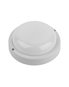 Светильник ЖКХ ЭРА SPB-201-1-65K-015 / Б0047633 Эра