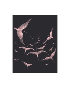 Фотообои листовые Citydecor Perfect Lines 13