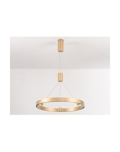 Потолочный светильник Ambrella Comfort / FL5846