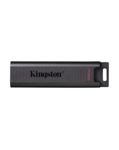 USB flash накопитель Kingston Data Traveler Max 256Gb (DTMAX/256GB)