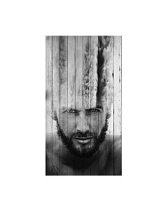 Картина White Wood B112-V-036-055-6.16 White wood