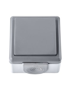 Выключатель Bylectrica А1 10-2131(03)