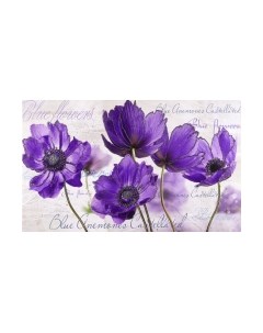 Картина Декарт Фиолетовые цветы 8Л3114