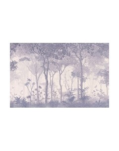 Фотообои листовые Citydecor Таинственный лес 2