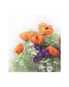 Набор для вышивания Маки / B2368 Luca-s