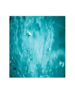 Скатерть JoyArty Ночной цветок / tcox_15730 Joyarty