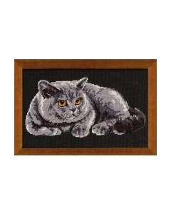 Набор для вышивания Британец / 848 Риолис