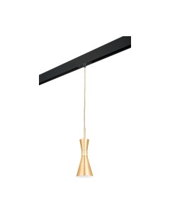 Трековый светильник Lightstar Dumo / PRO816011